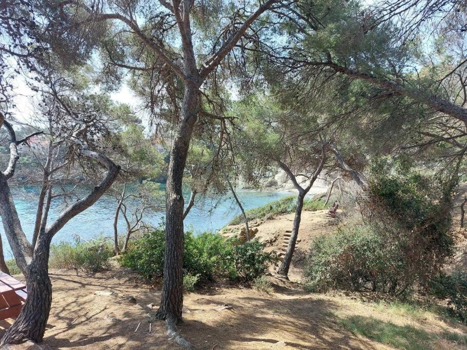 Charmant Mazet - Plage A Pied Saint-Peire-sur-Mer Екстер'єр фото